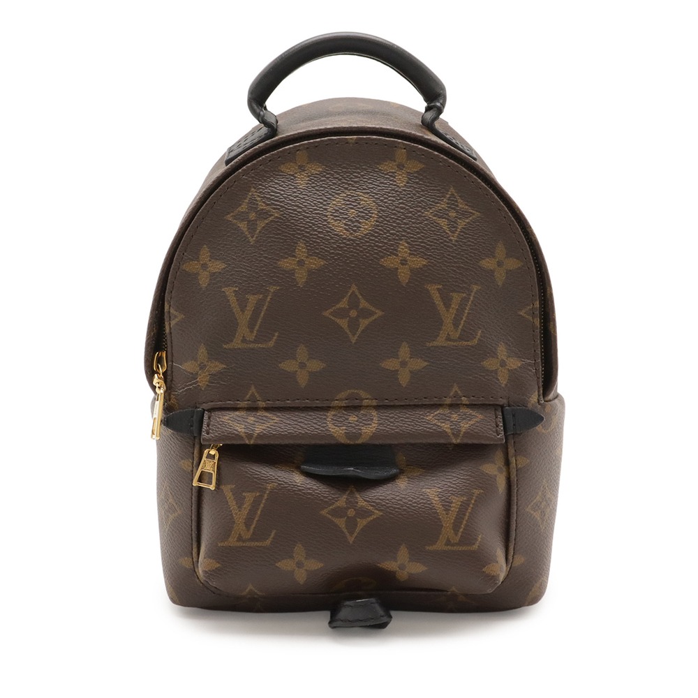 Pre-Loved Louis Vuitton Monogram Mini Palm Springs